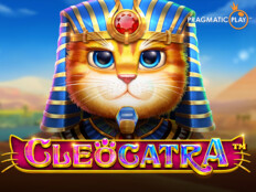 Cat casino. Casino kumarhane oyunları.16